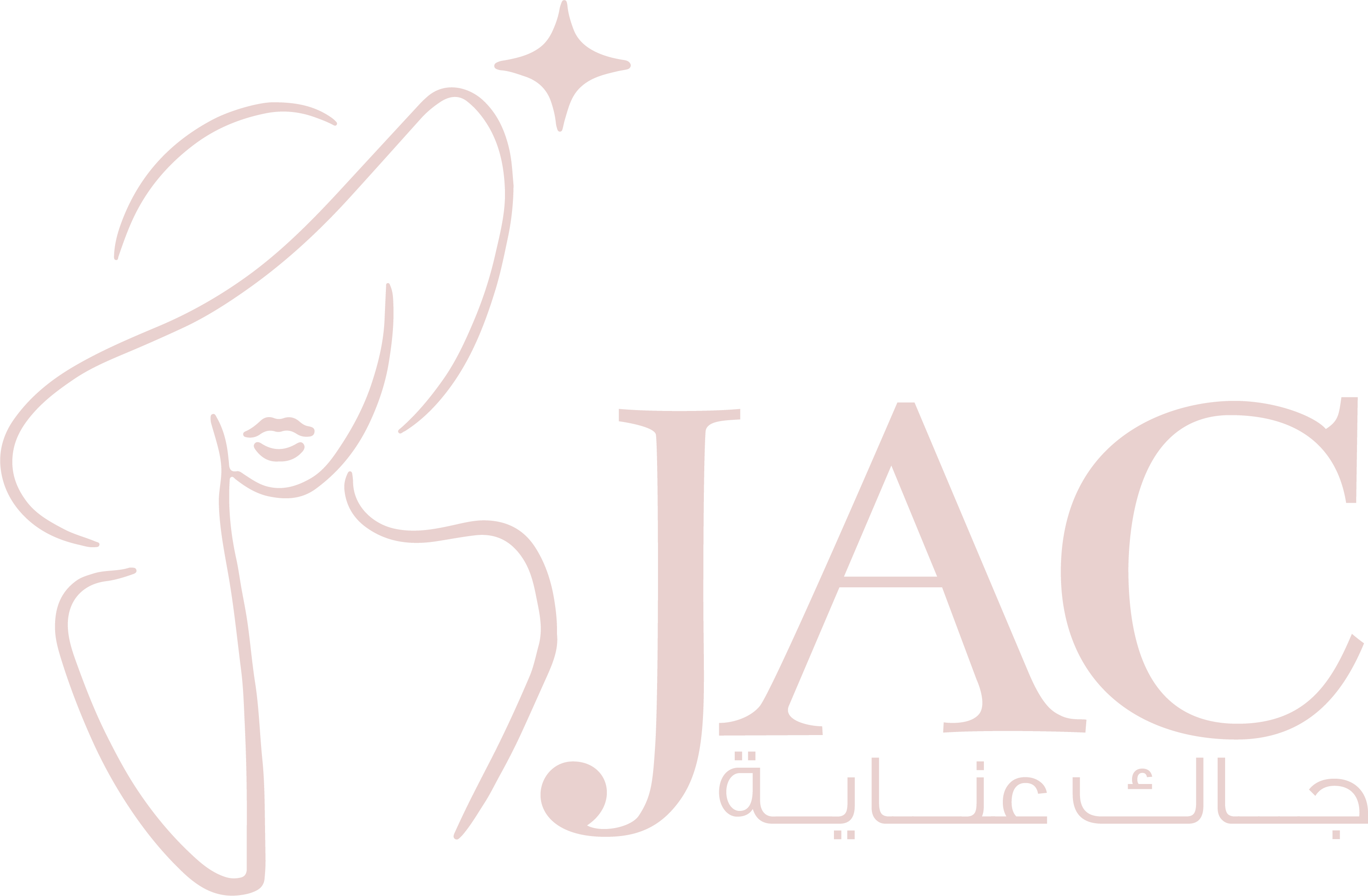 Footer Logo